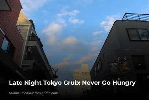 Late Night Tokyo Grub: Never Go Hungry Again!