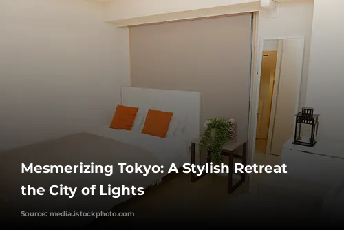 Mesmerizing Tokyo:  A Stylish Retreat in the City of Lights