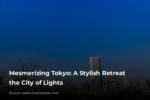 Mesmerizing Tokyo:  A Stylish Retreat in the City of Lights