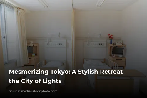 Mesmerizing Tokyo:  A Stylish Retreat in the City of Lights