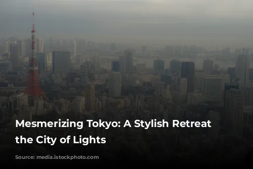 Mesmerizing Tokyo:  A Stylish Retreat in the City of Lights