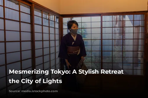 Mesmerizing Tokyo:  A Stylish Retreat in the City of Lights