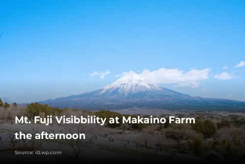 Mt. Fuji Visibbility at Makaino Farm in the afternoon