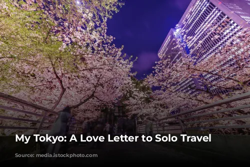 My Tokyo: A Love Letter to Solo Travel