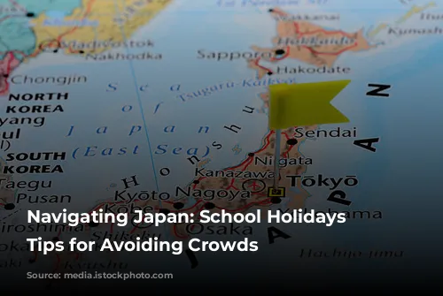 Navigating Japan: School Holidays and Tips for Avoiding Crowds