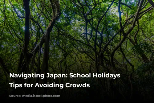 Navigating Japan: School Holidays and Tips for Avoiding Crowds