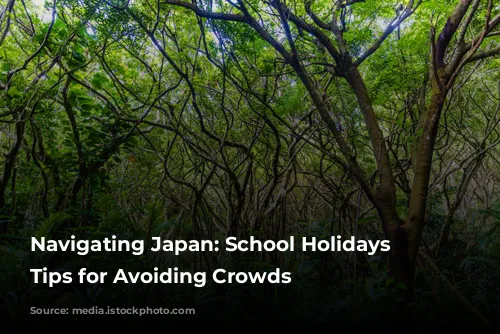 Navigating Japan: School Holidays and Tips for Avoiding Crowds