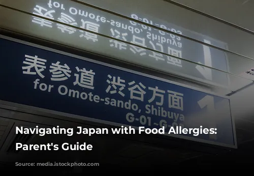 Navigating Japan with Food Allergies: A Parent's Guide