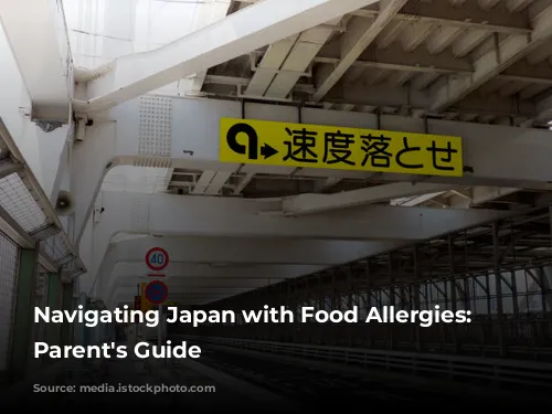 Navigating Japan with Food Allergies: A Parent's Guide