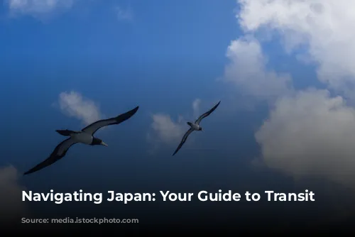 Navigating Japan: Your Guide to Transit Visas