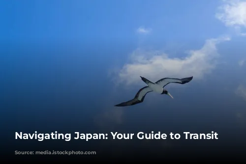 Navigating Japan: Your Guide to Transit Visas