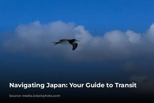 Navigating Japan: Your Guide to Transit Visas