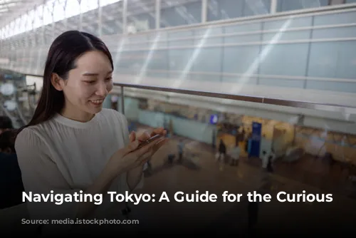 Navigating Tokyo: A Guide for the Curious Traveler