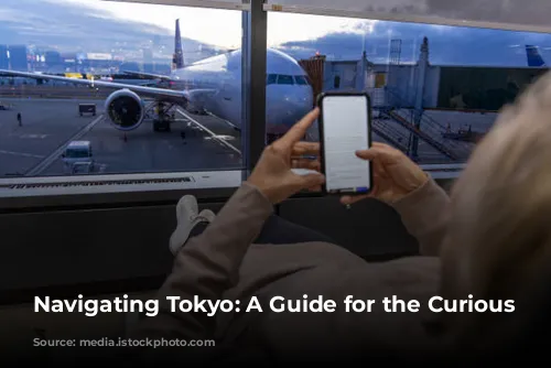 Navigating Tokyo: A Guide for the Curious Traveler