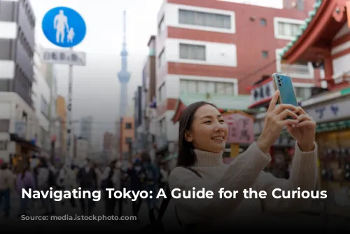 Navigating Tokyo: A Guide for the Curious Traveler