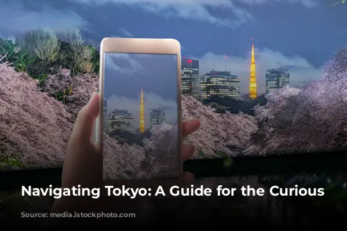 Navigating Tokyo: A Guide for the Curious Traveler