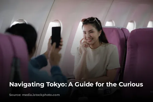 Navigating Tokyo: A Guide for the Curious Traveler