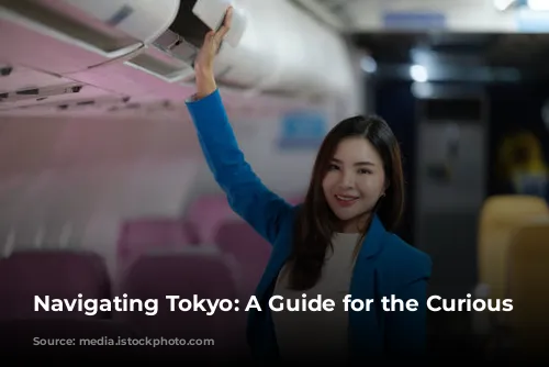 Navigating Tokyo: A Guide for the Curious Traveler