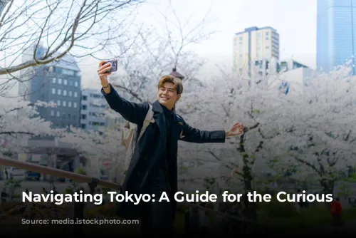 Navigating Tokyo: A Guide for the Curious Traveler