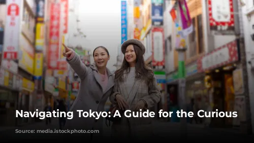 Navigating Tokyo: A Guide for the Curious Traveler