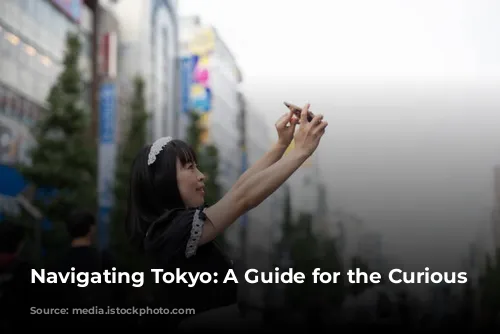 Navigating Tokyo: A Guide for the Curious Traveler