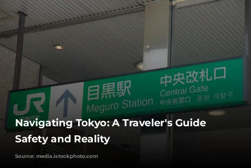 Navigating Tokyo: A Traveler's Guide to Safety and Reality