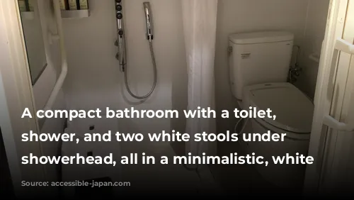 A compact bathroom with a toilet, handheld shower, and two white stools under a showerhead, all in a minimalistic, white design.