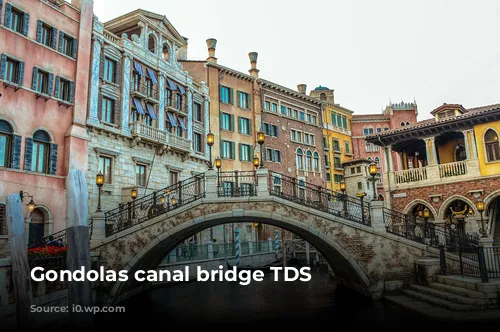 Gondolas canal bridge TDS