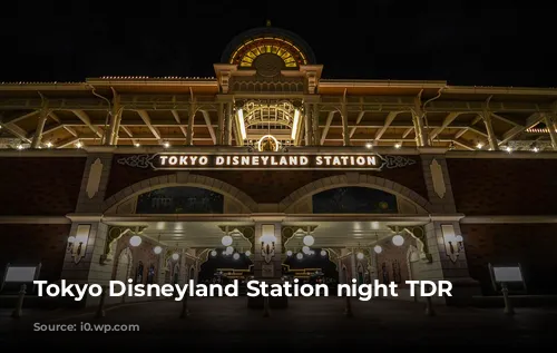 Tokyo Disneyland Station night TDR