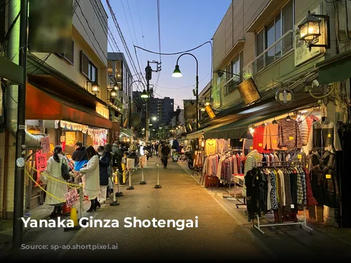 Yanaka Ginza Shotengai