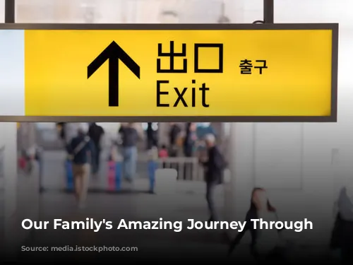 Our Family's Amazing Journey Through Japan