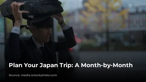 Plan Your Japan Trip: A Month-by-Month Guide