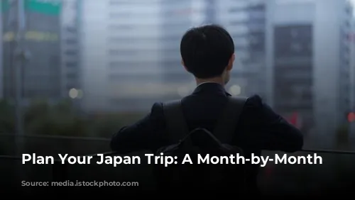 Plan Your Japan Trip: A Month-by-Month Guide