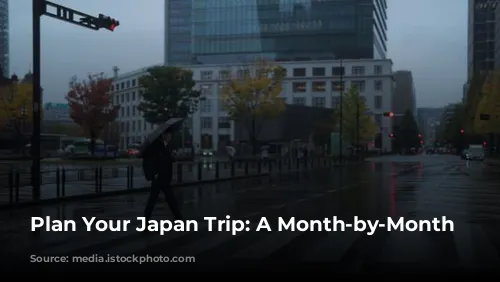 Plan Your Japan Trip: A Month-by-Month Guide