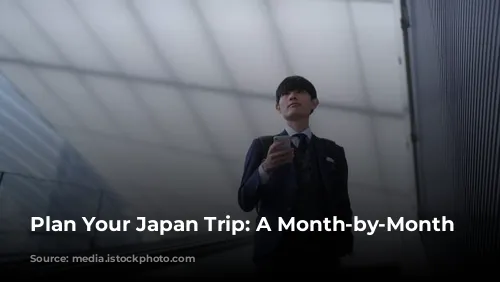 Plan Your Japan Trip: A Month-by-Month Guide