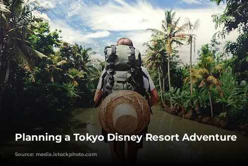 Planning a Tokyo Disney Resort Adventure