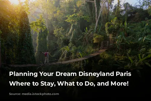 Planning Your Dream Disneyland Paris Trip: Where to Stay, What to Do, and More!