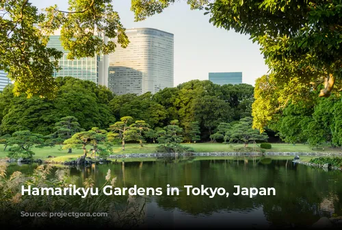 Hamarikyu Gardens in Tokyo, Japan