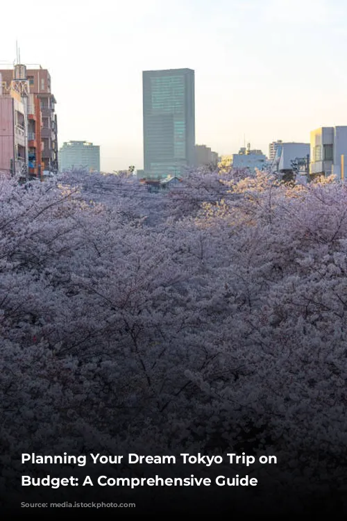 Planning Your Dream Tokyo Trip on a Budget: A Comprehensive Guide