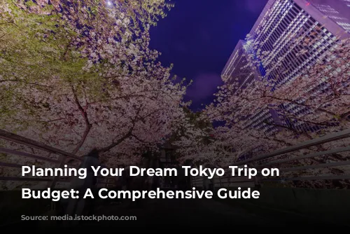 Planning Your Dream Tokyo Trip on a Budget: A Comprehensive Guide