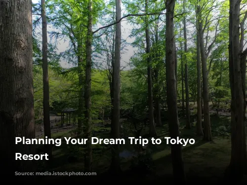 Planning Your Dream Trip to Tokyo Disney Resort