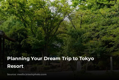 Planning Your Dream Trip to Tokyo Disney Resort