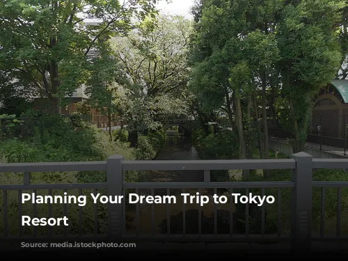 Planning Your Dream Trip to Tokyo Disney Resort