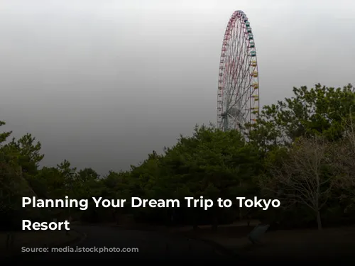 Planning Your Dream Trip to Tokyo Disney Resort