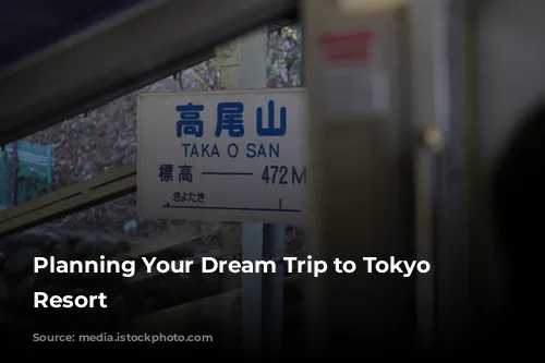 Planning Your Dream Trip to Tokyo Disney Resort