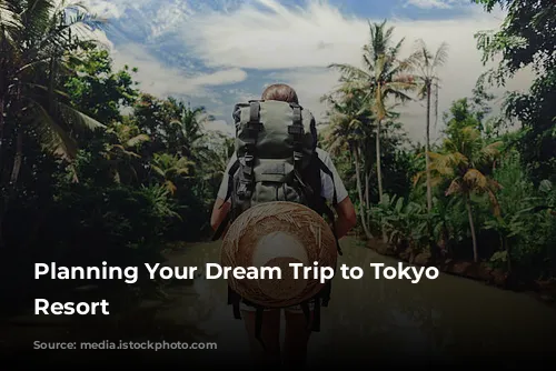 Planning Your Dream Trip to Tokyo Disney Resort