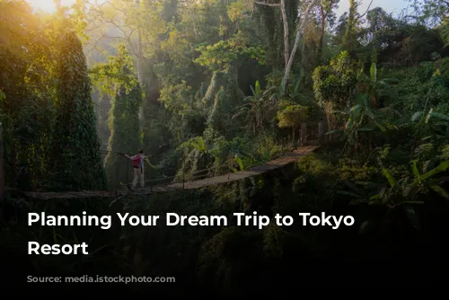 Planning Your Dream Trip to Tokyo Disney Resort