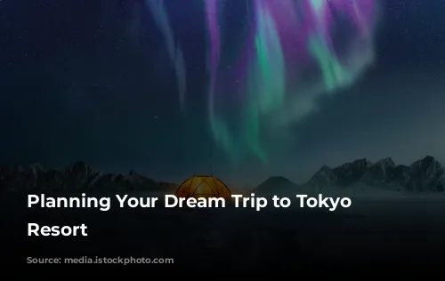 Planning Your Dream Trip to Tokyo Disney Resort