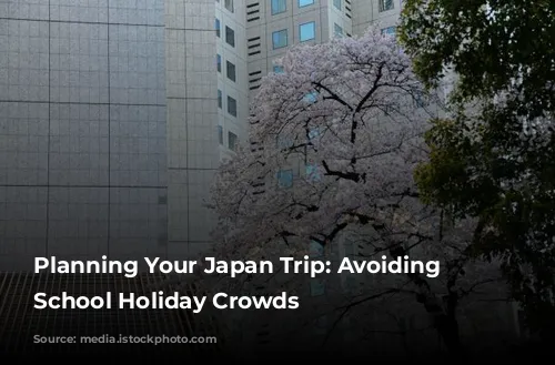 Planning Your Japan Trip: Avoiding the School Holiday Crowds