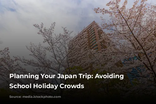 Planning Your Japan Trip: Avoiding the School Holiday Crowds